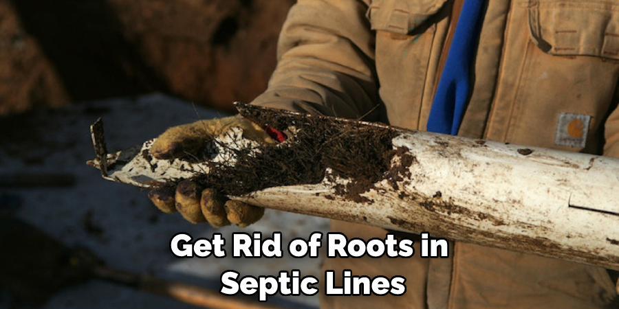 Get Rid of Roots in Septic Lines
