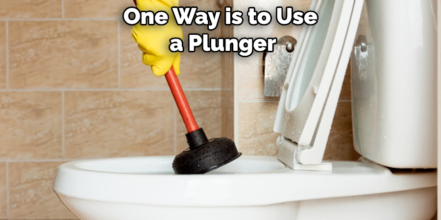 One Way is to Use a Plunger
