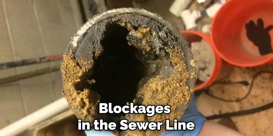 Blockages in the Sewer Line