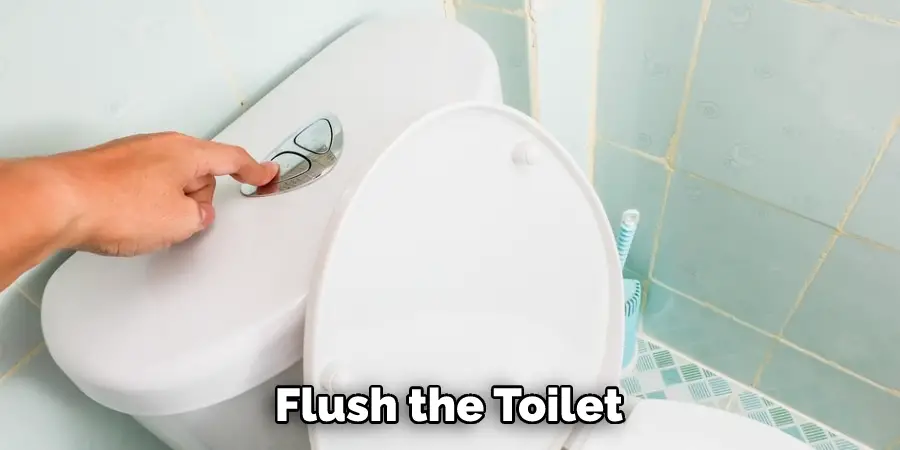 Flush the Toilet 