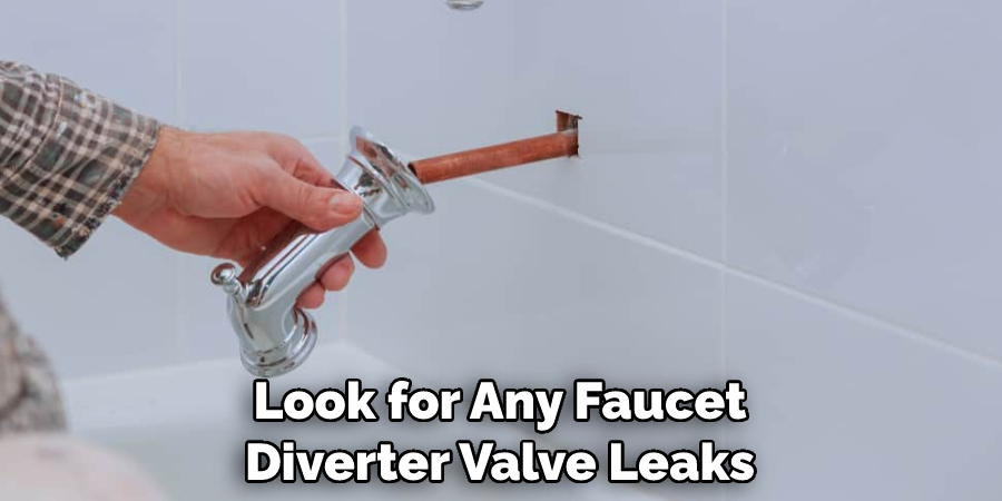 Look for Any Faucet Diverter Valve Leaks