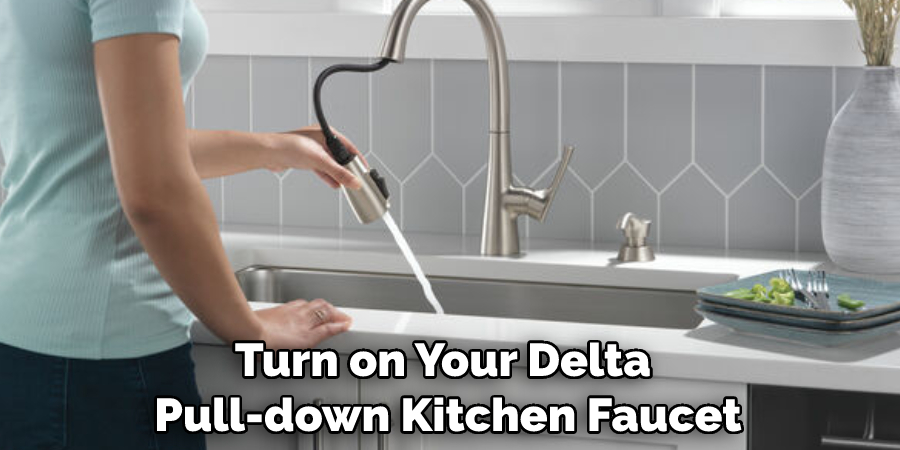 Turn on Your Delta Pull-down Kitchen Faucet