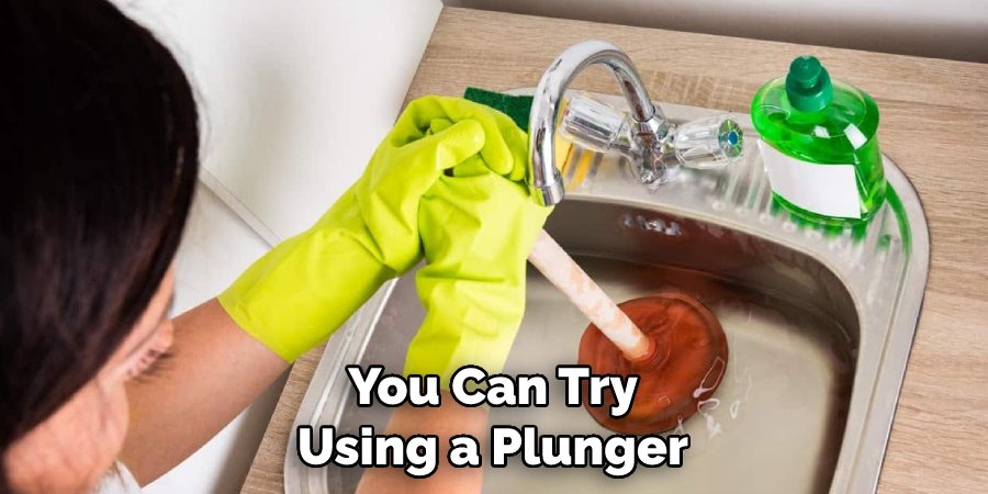 You Can Try Using a Plunger