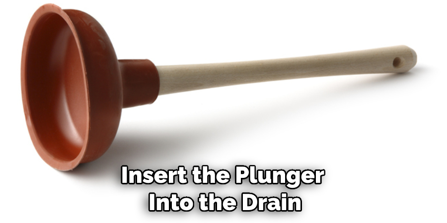 Insert the Plunger Into the Drain