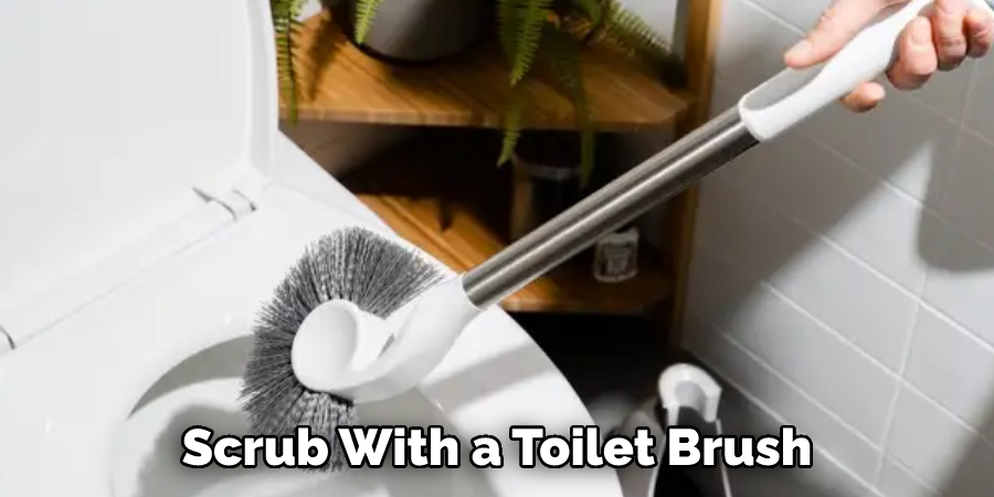 Scrub With a Toilet Brush