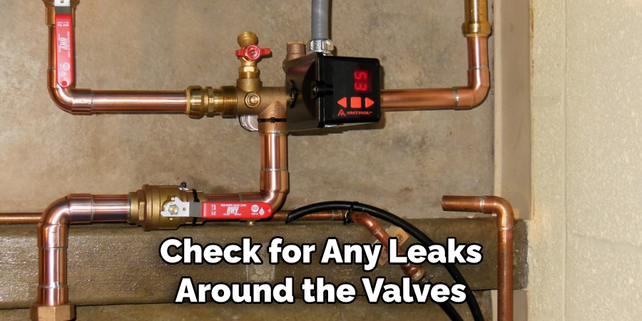 Check for Any Leaks Around the Valves