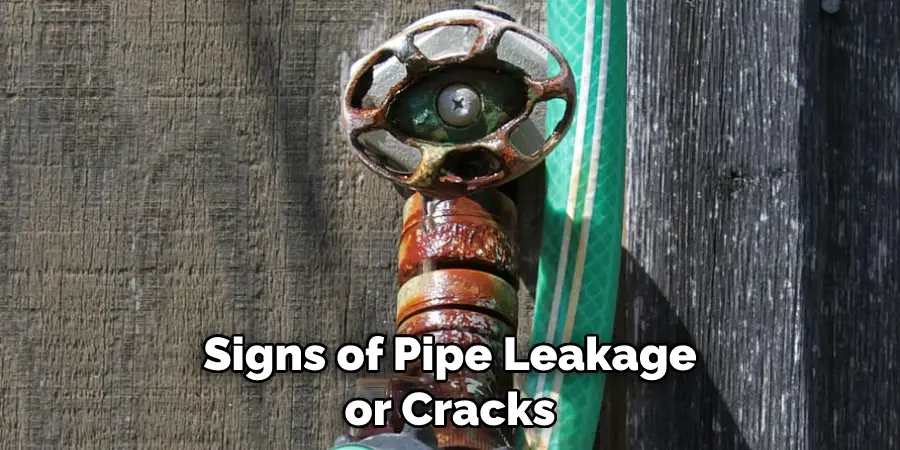 Signs of Pipe Leakage or Cracks