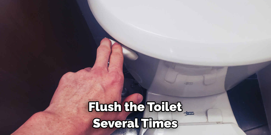 Flush the Toilet Several Times