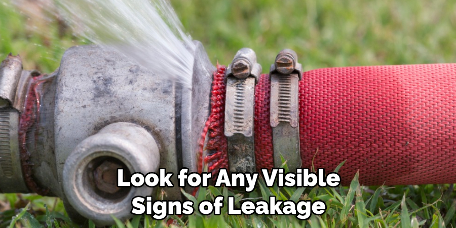 Look for Any Visible Signs of Leakage