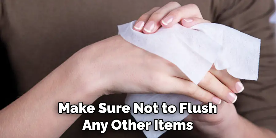 Make Sure Not to Flush Any Other Items