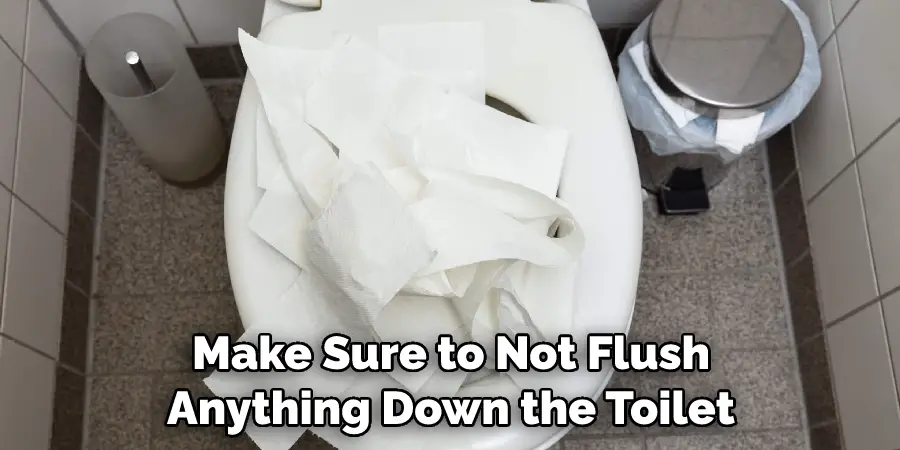 Make Sure to Not Flush Anything Down the Toilet