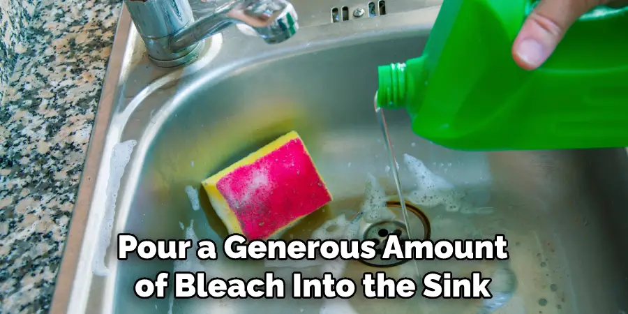 Pour a Generous Amount of Bleach Into the Sink