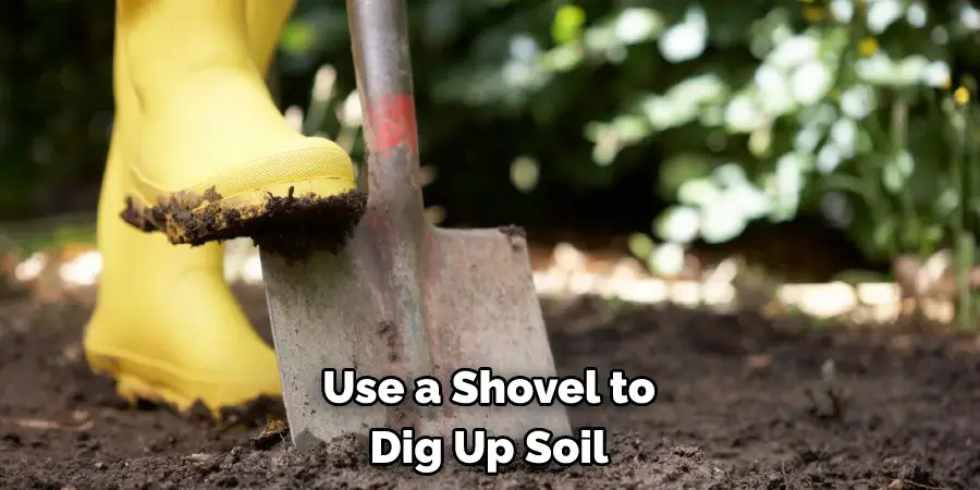 Use a Shovel to Dig Up Soil