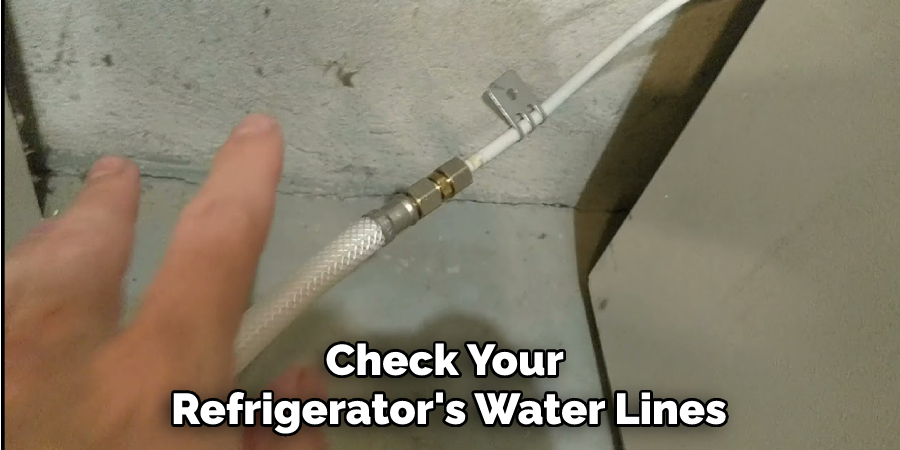 Check Your Refrigerator's Water Lines