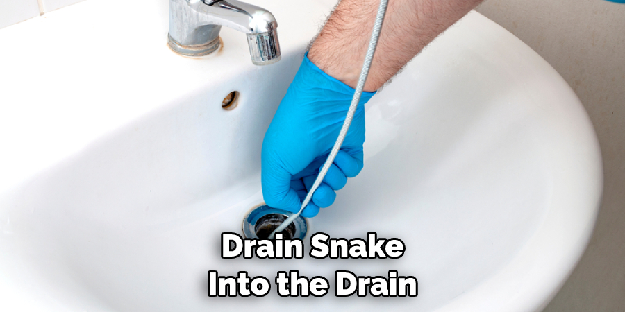 Drain Snake Into the Drain