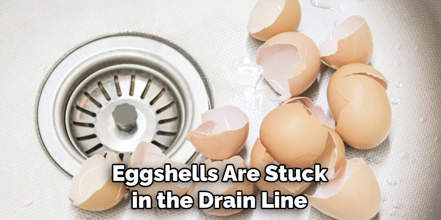 Eggshells Are Stuck in the Drain Line