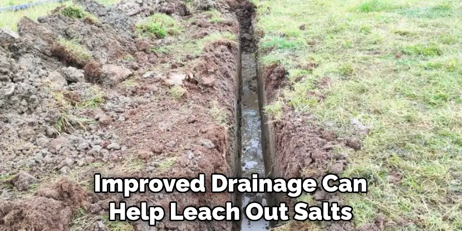 Improved Drainage Can Help Leach Out Salts