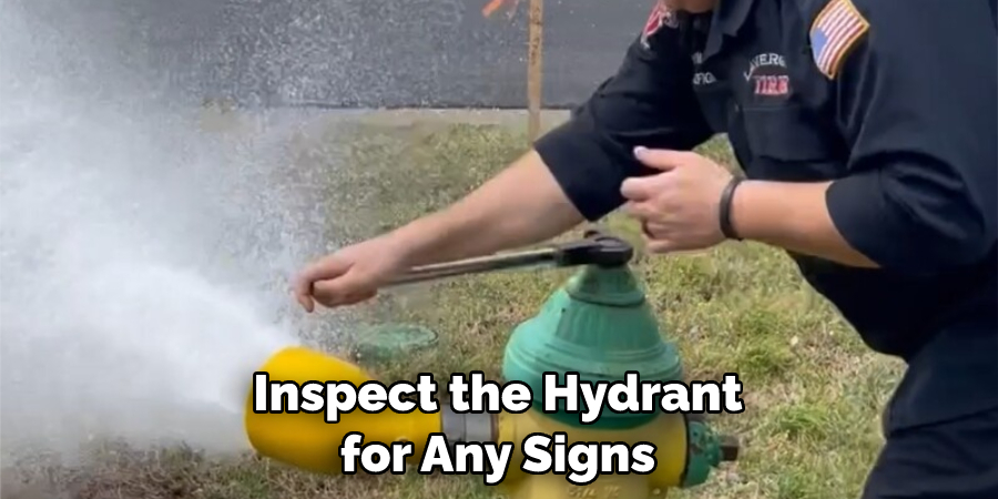 Inspect the Hydrant for Any Signs