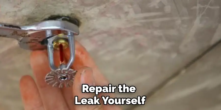 Repair the Leak Yourself