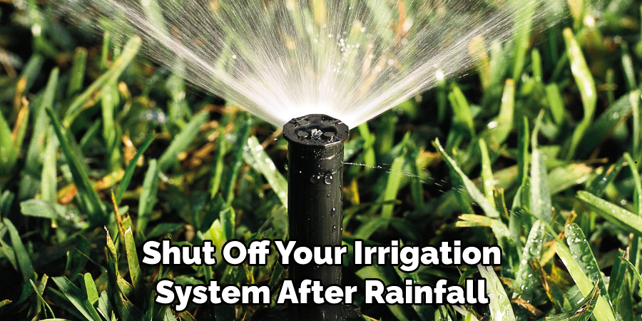 Shut Off Your Irrigation System After Rainfall