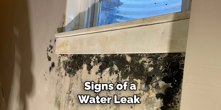 Signs of a Water Leak 
