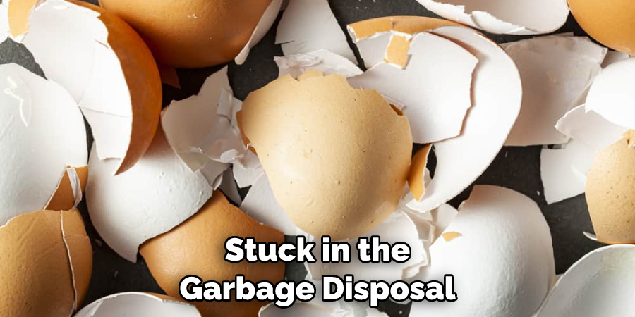 Stuck in the Garbage Disposal