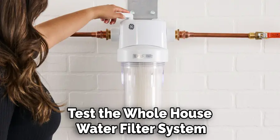 Test the Whole House Water Filter System