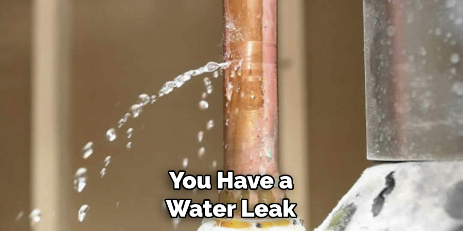 You Have a Water Leak