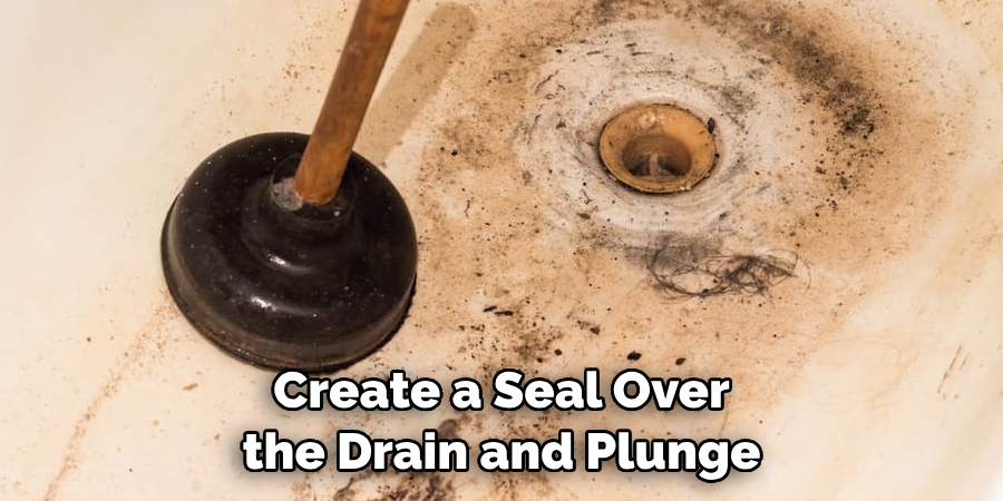 Create a Seal Over the Drain and Plunge