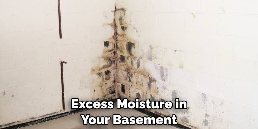 Excess Moisture in Your Basement