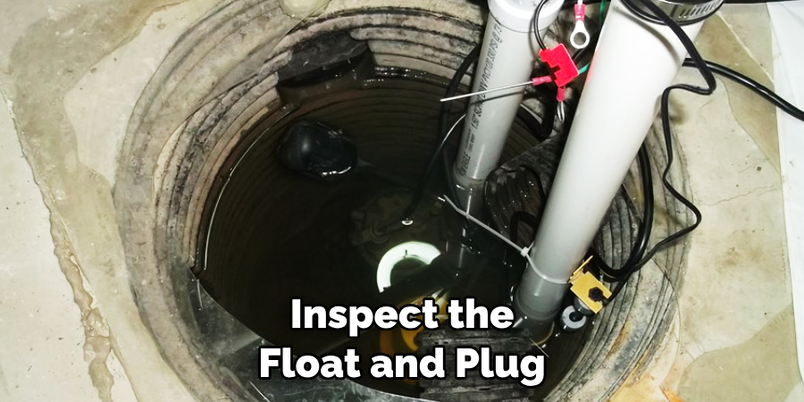 Inspect the Float and Plug