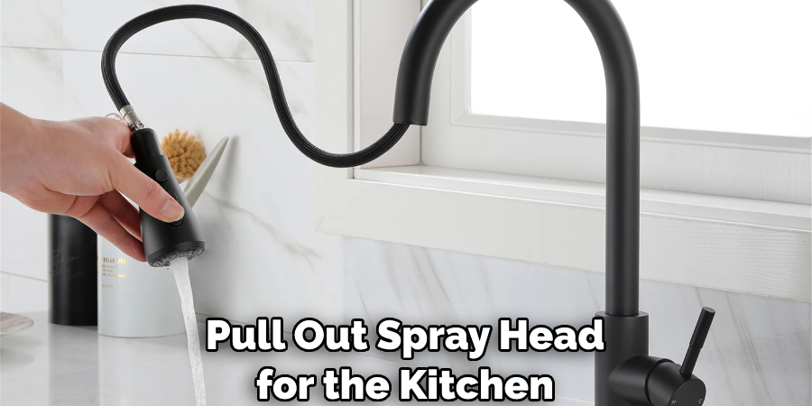 Pull Out Spray Head for the Kitchen