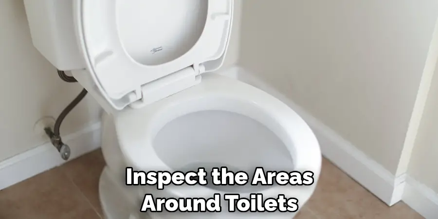 Inspect the Areas Around Toilets