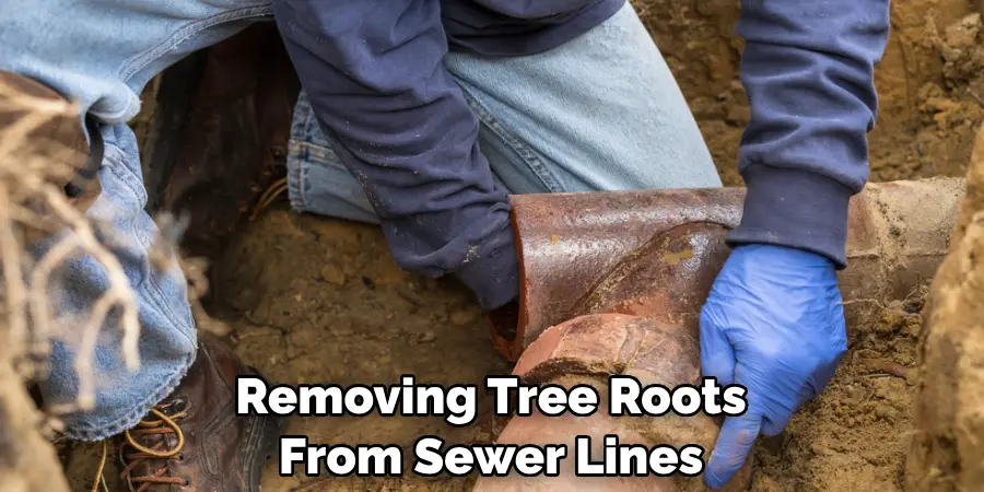 Removing Tree Roots From Sewer Lines