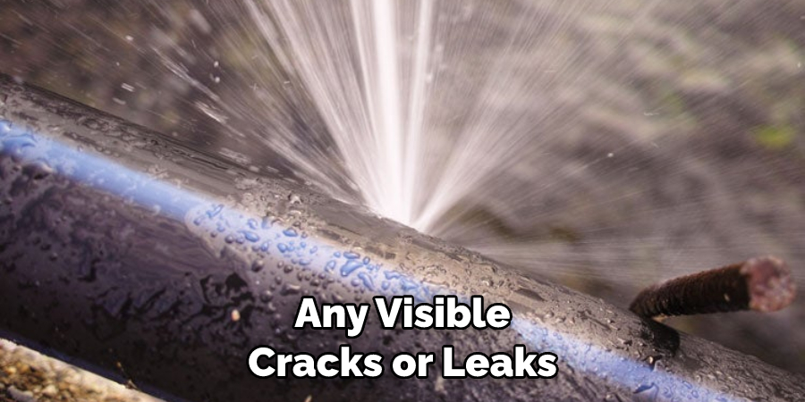 Any Visible Cracks or Leaks