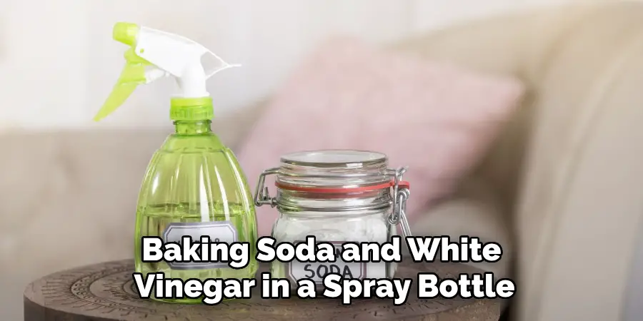 Baking Soda and White Vinegar in a Spray Bottle