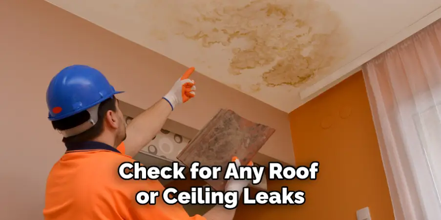 Check for Any Roof or Ceiling Leaks