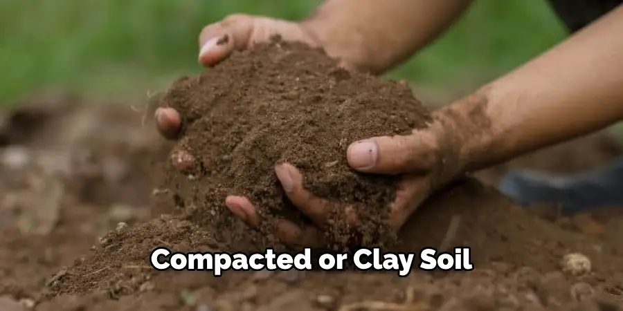 Compacted or Clay Soil