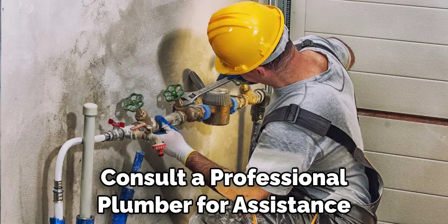 Consult a Professional Plumber for Assistance