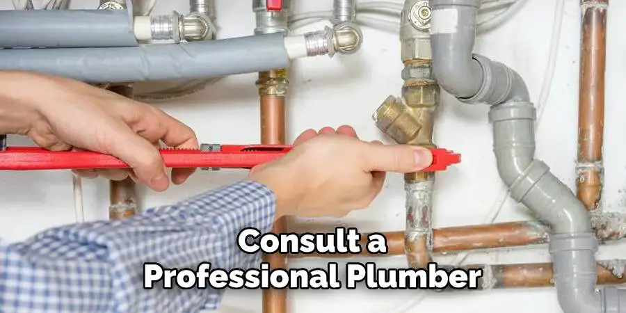 Consult a Professional Plumber