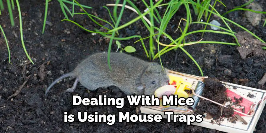 Dealing With Mice is Using Mouse Traps