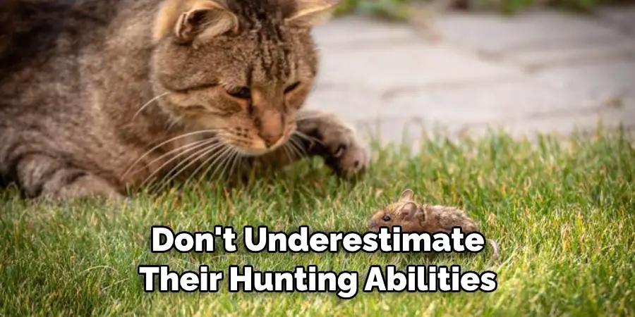 Don't Underestimate Their Hunting Abilities