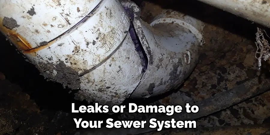 Leaks or Damage to Your Sewer System