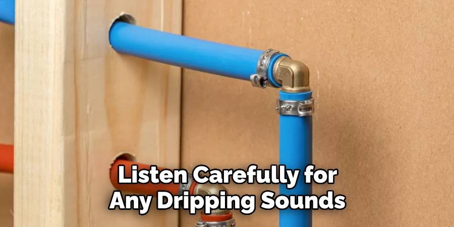 Listen Carefully for Any Dripping Sounds