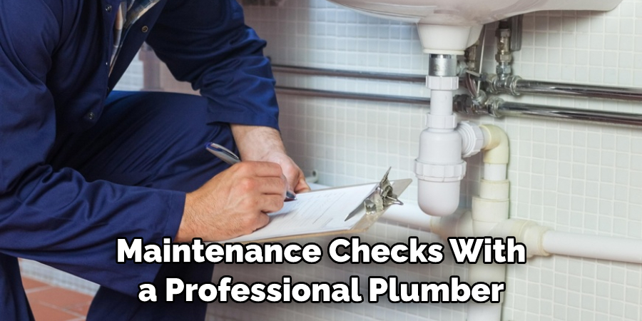 Maintenance Checks With a Professional Plumber