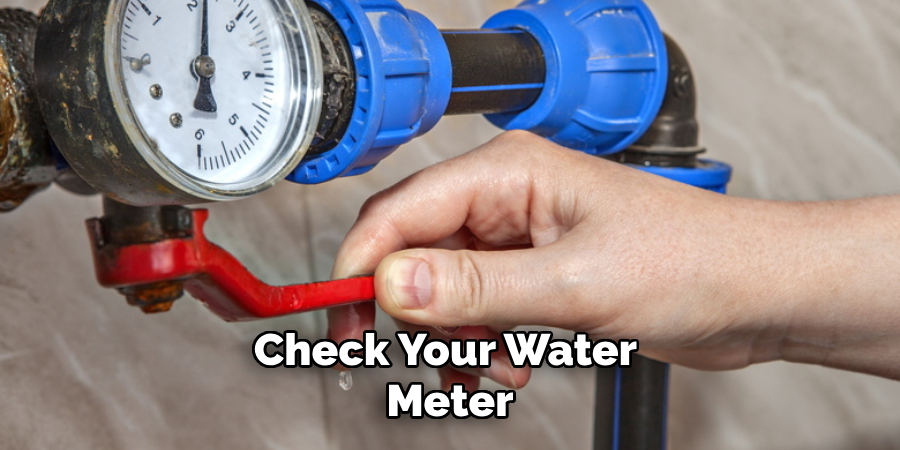 Check Your Water Meter