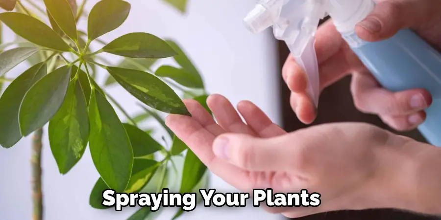 Spraying Your Plants