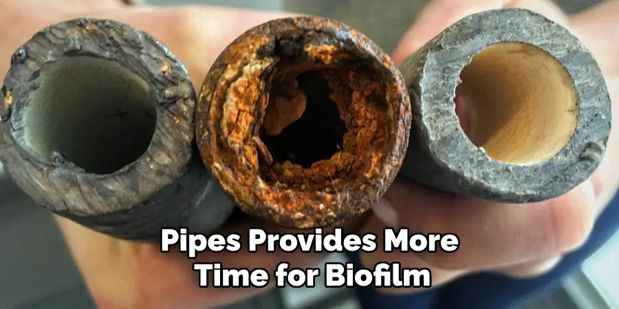 Pipes Provides More Time for Biofilm