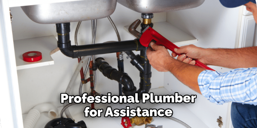 Professional Plumber for Assistance
