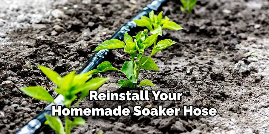  Reinstall Your Homemade Soaker Hose